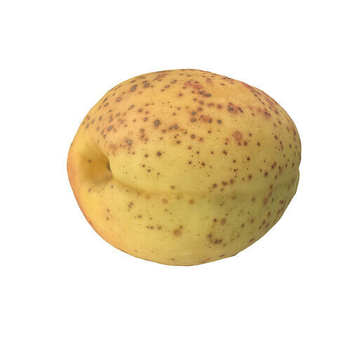 Apricot Low-poly 3D model