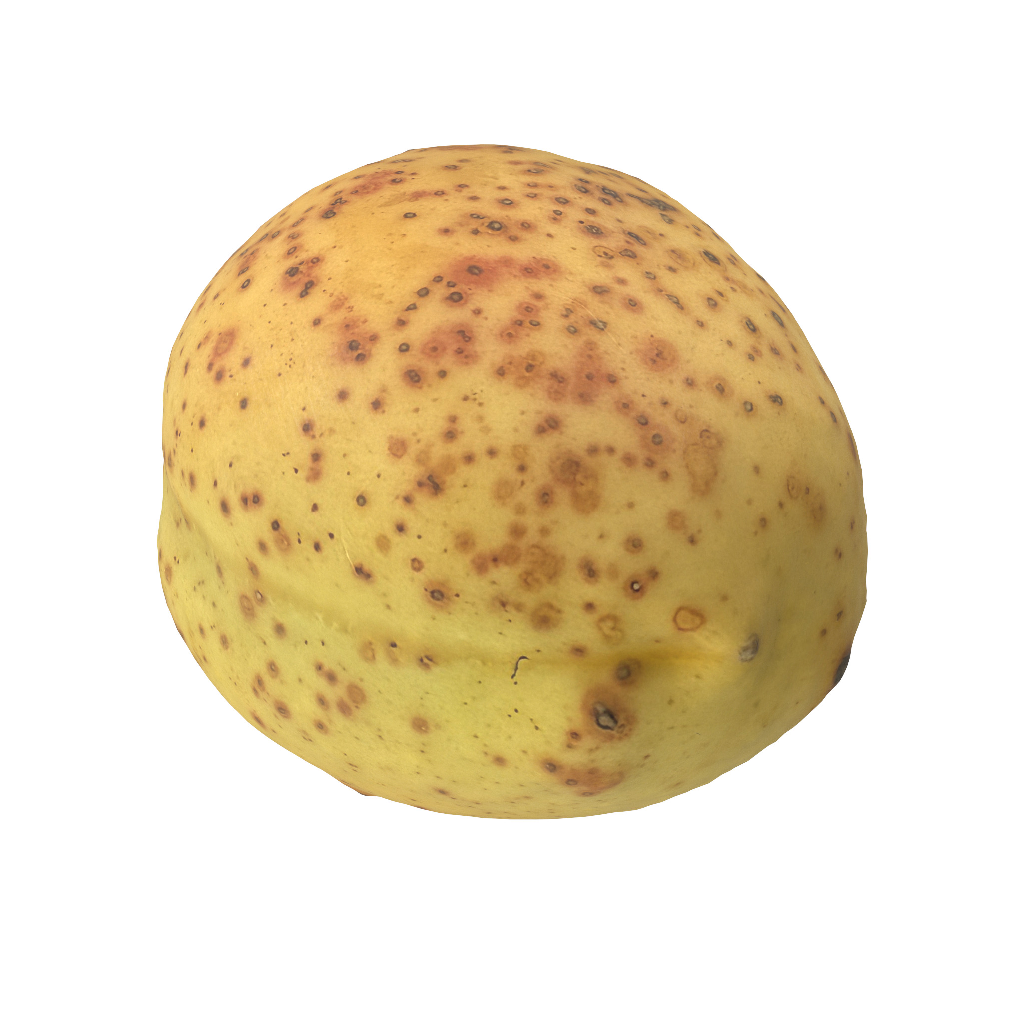 Apricot Low-poly 3D model_3