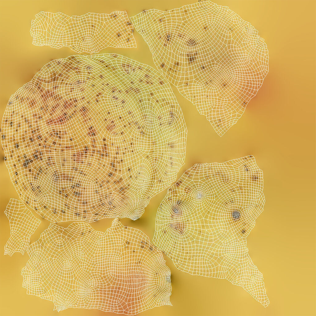 Apricot Low-poly 3D model_6