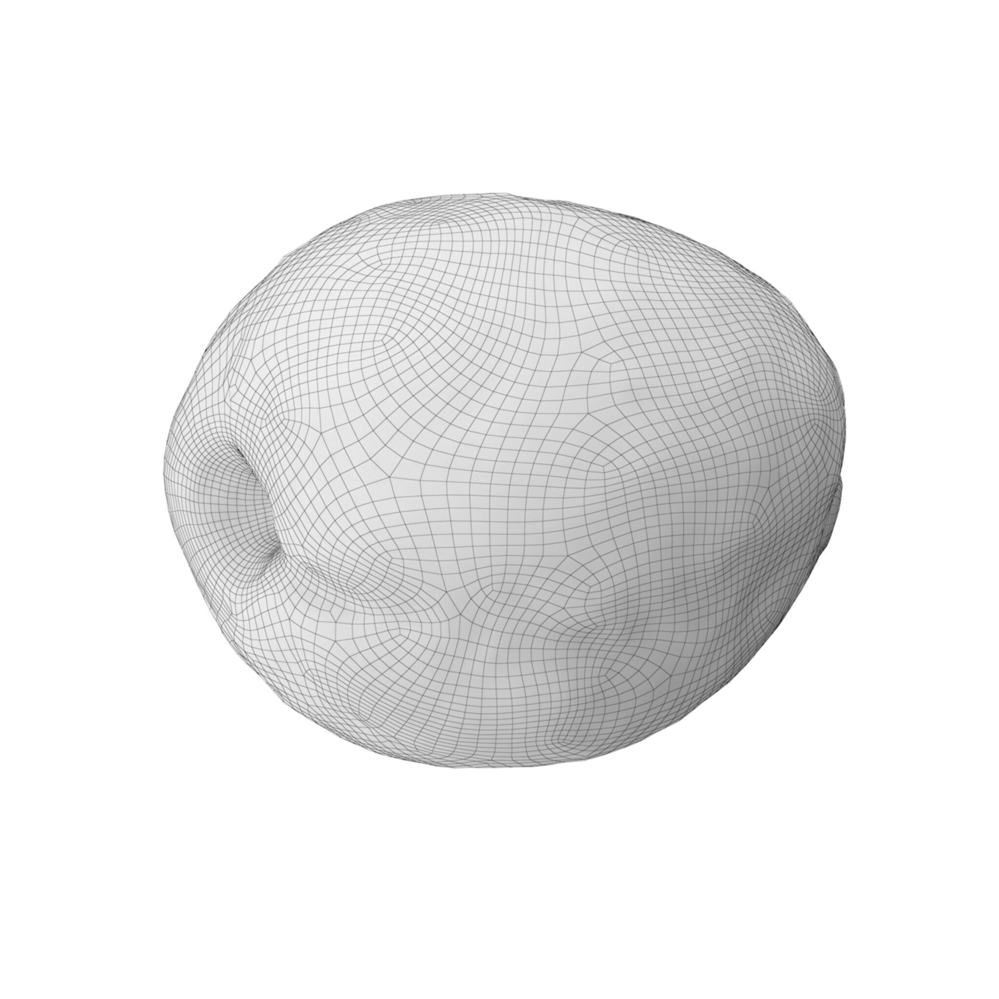 Apricot Low-poly 3D model_5