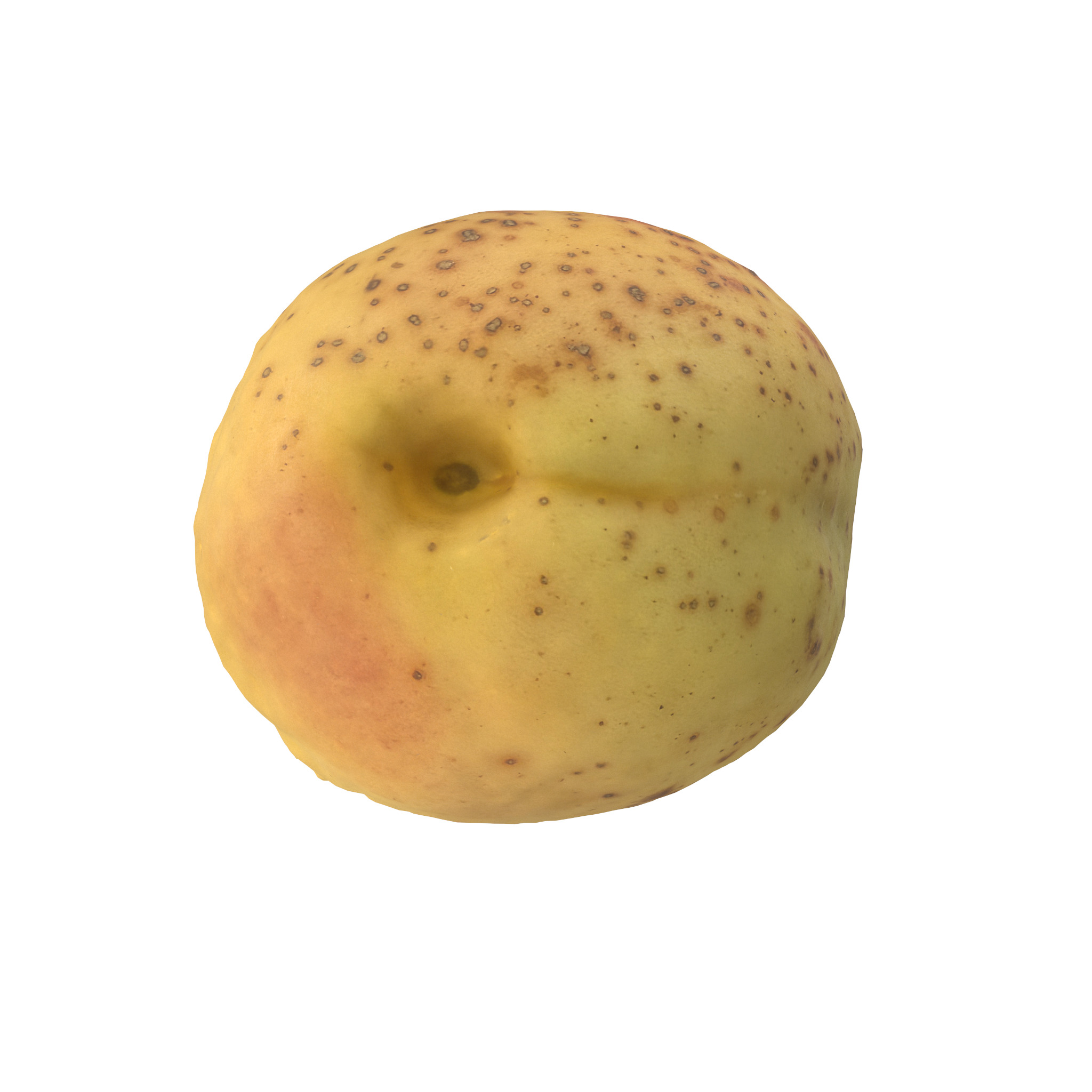 Apricot Low-poly 3D model_1