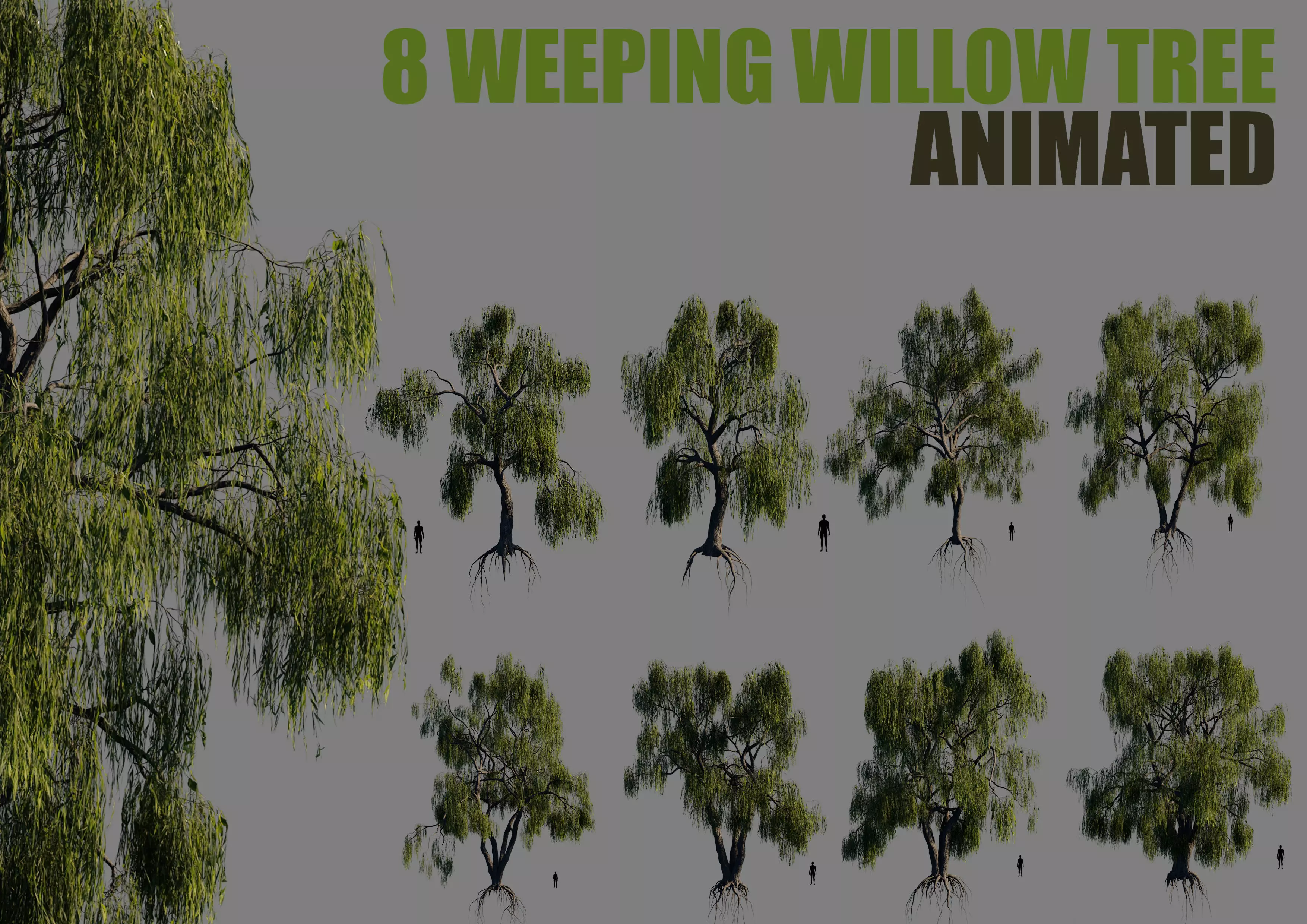 8 weeping willow tree animated pack 3D model_0