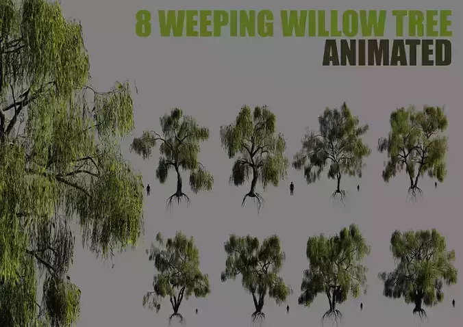 8 weeping willow tree animated pack