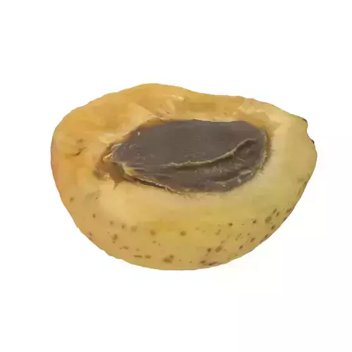 Half Of Apricot Low-poly 3D model