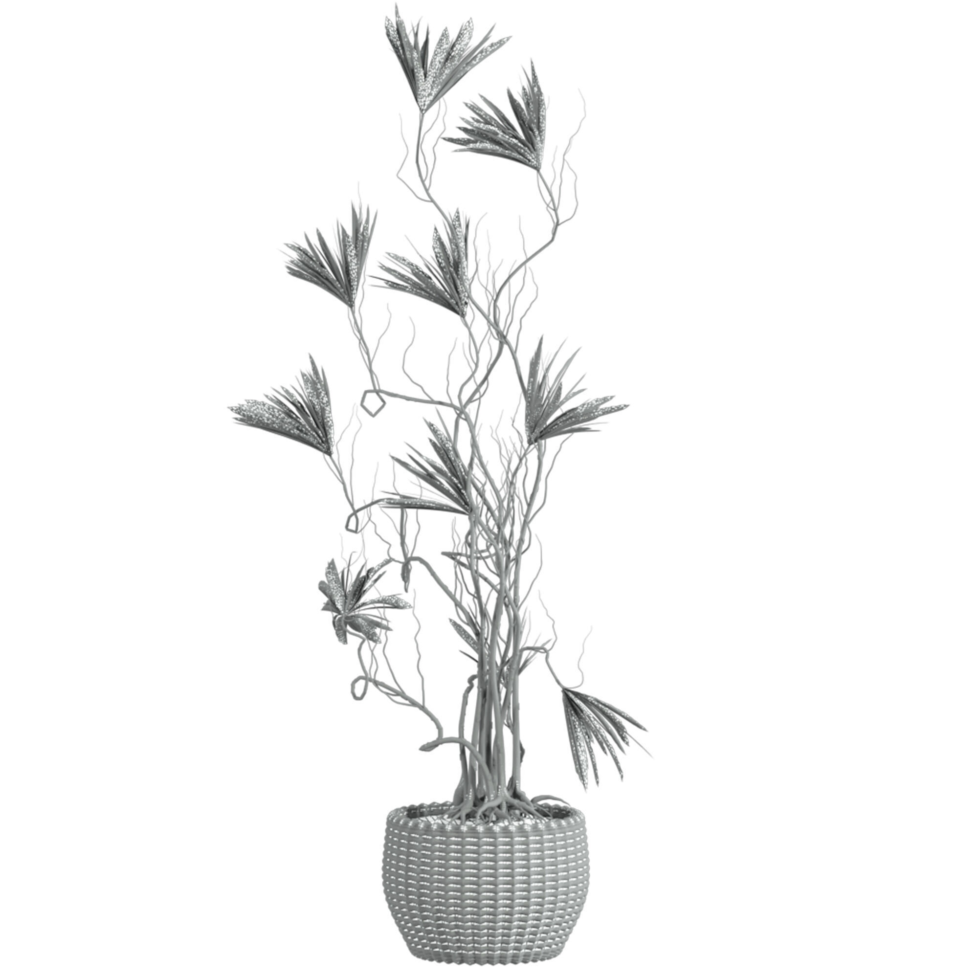 Potted Plant 3D model_4