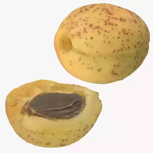 Apricot
