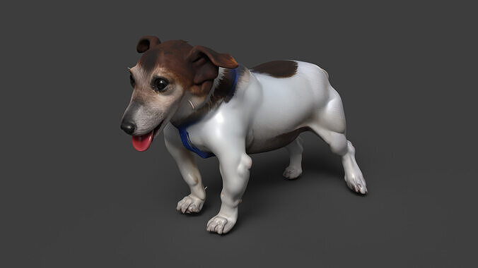Old dog Low-poly 3D model