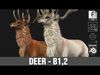 Deer-B2 3D model_1