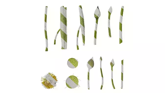 Anydrafts Nelumbo nucifera Atlas 03