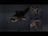 Ashen Brutal Warrior Low-poly 3D model_9