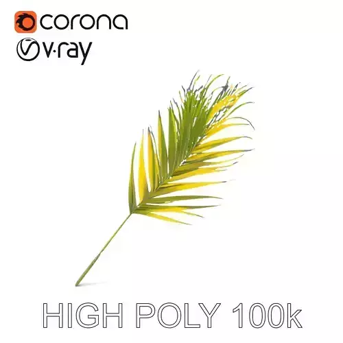 Palm Leaf D Model Pack