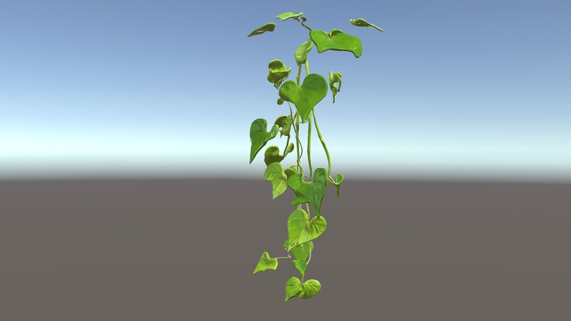 Climbing Ivy Plant Model Pack for Architectural Visualization Low-poly 3D model_5