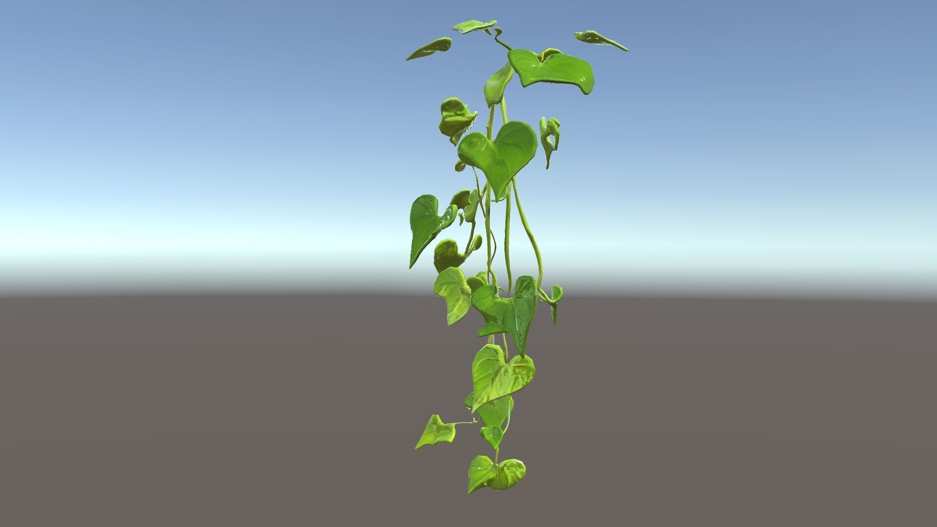 Climbing Ivy Plant Model Pack for Architectural Visualization Low-poly 3D model_6