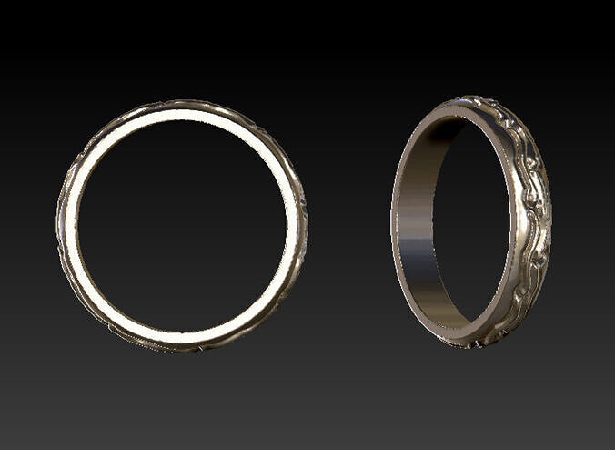 Slim Ornamental Ring Minimal  Free 3D print model