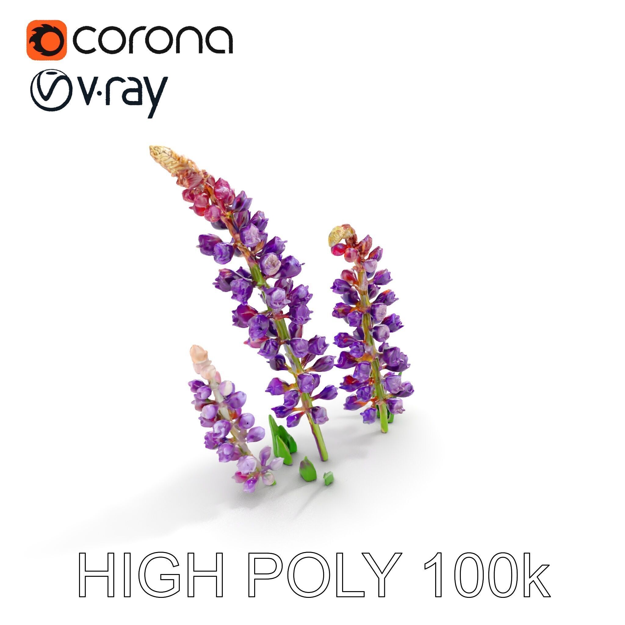 Lavender Flower Model Pack Realistic Botanical D Low-poly 3D model_35