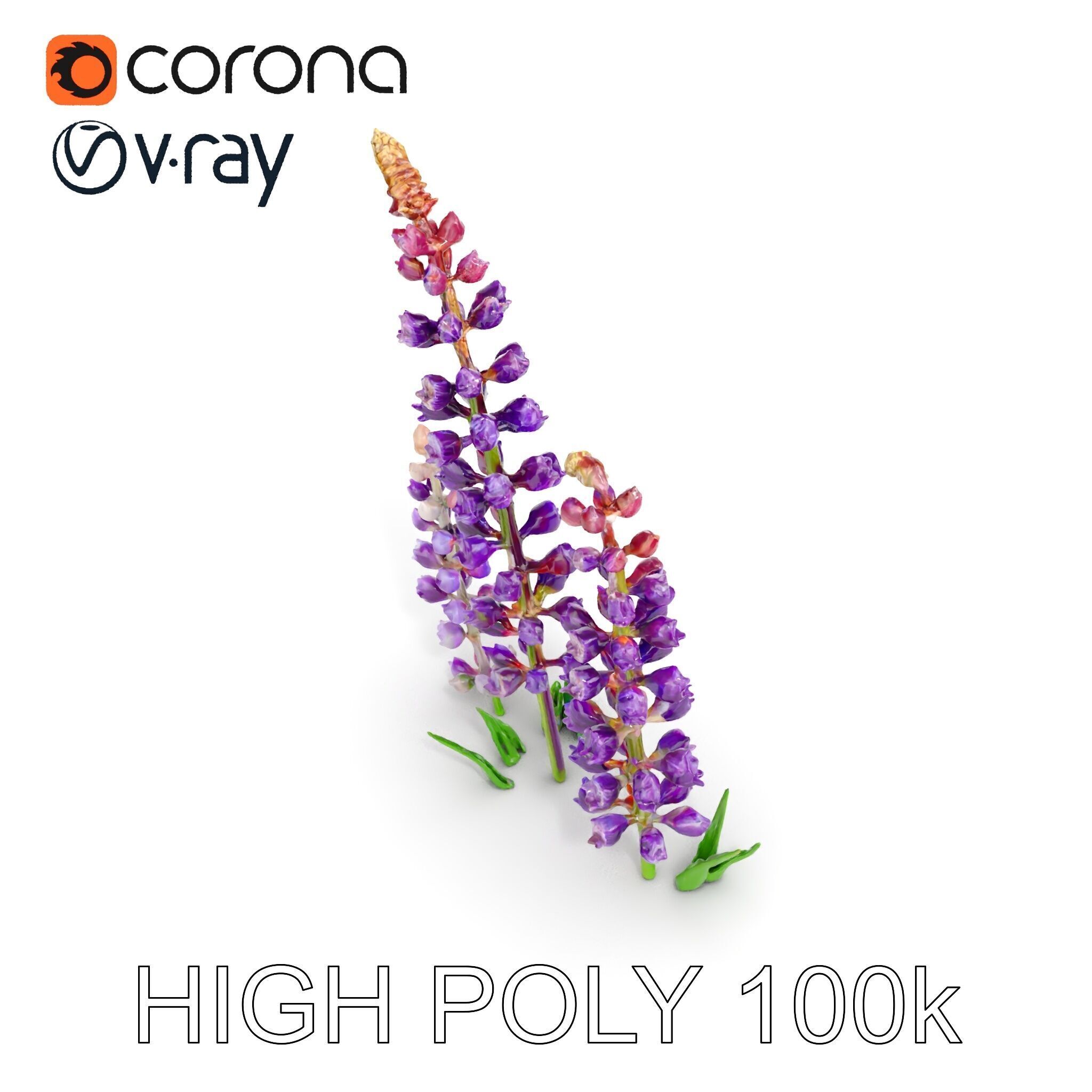 Lavender Flower Model Pack Realistic Botanical D Low-poly 3D model_22