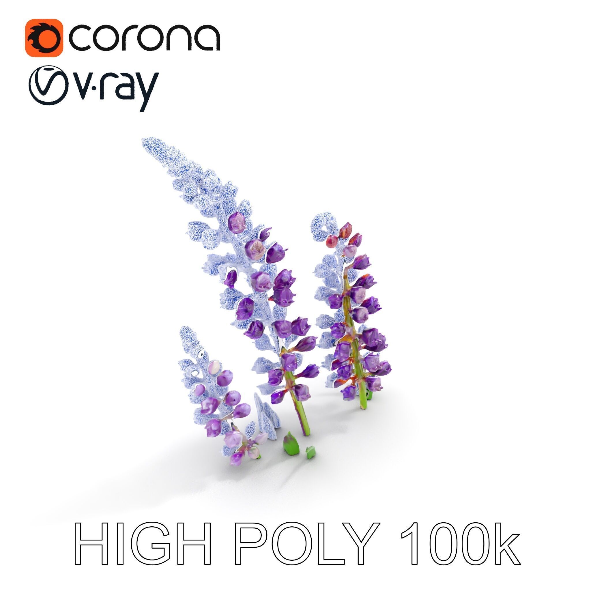 Lavender Flower Model Pack Realistic Botanical D Low-poly 3D model_18