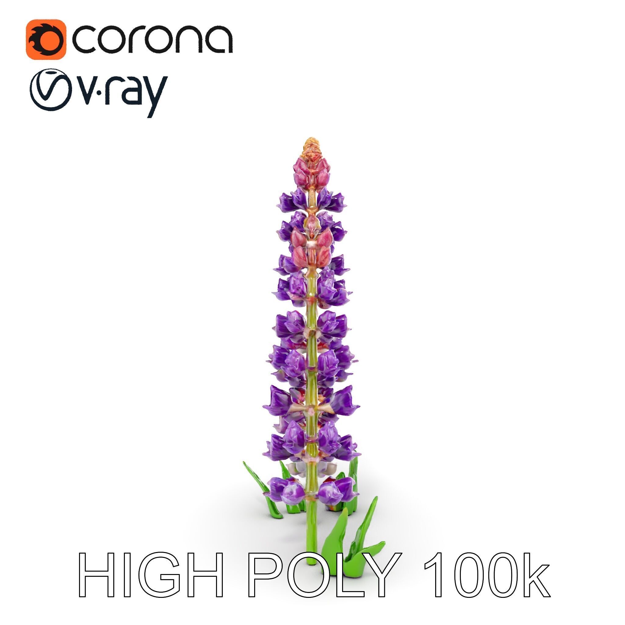 Lavender Flower Model Pack Realistic Botanical D Low-poly 3D model_30