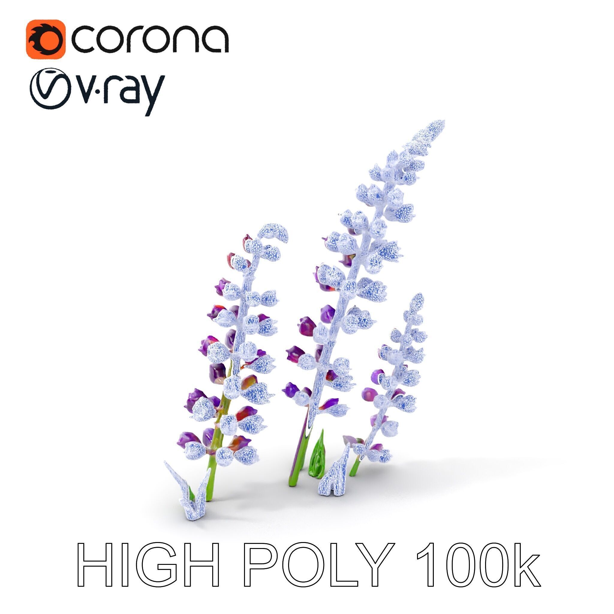 Lavender Flower Model Pack Realistic Botanical D Low-poly 3D model_7