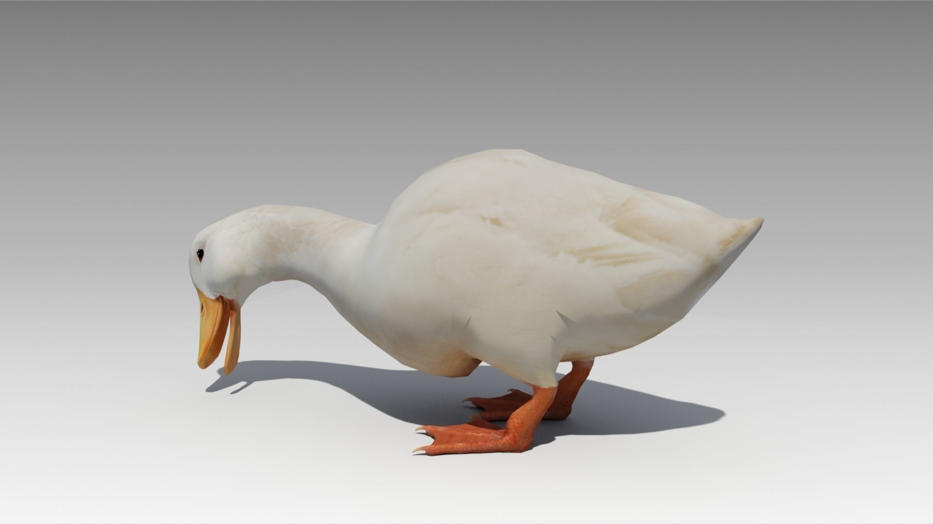 Duck Animated Low-poly 3D model_2