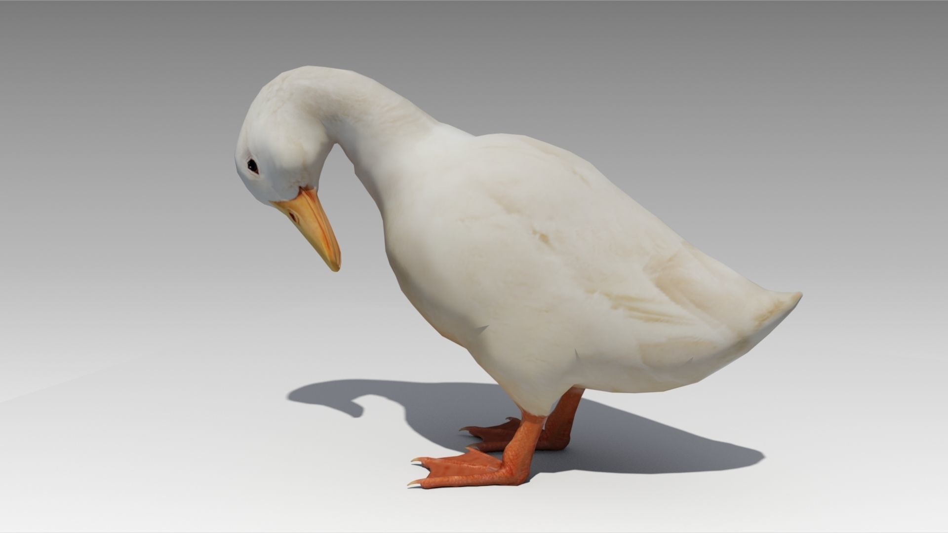 Duck Animated Low-poly 3D model_4