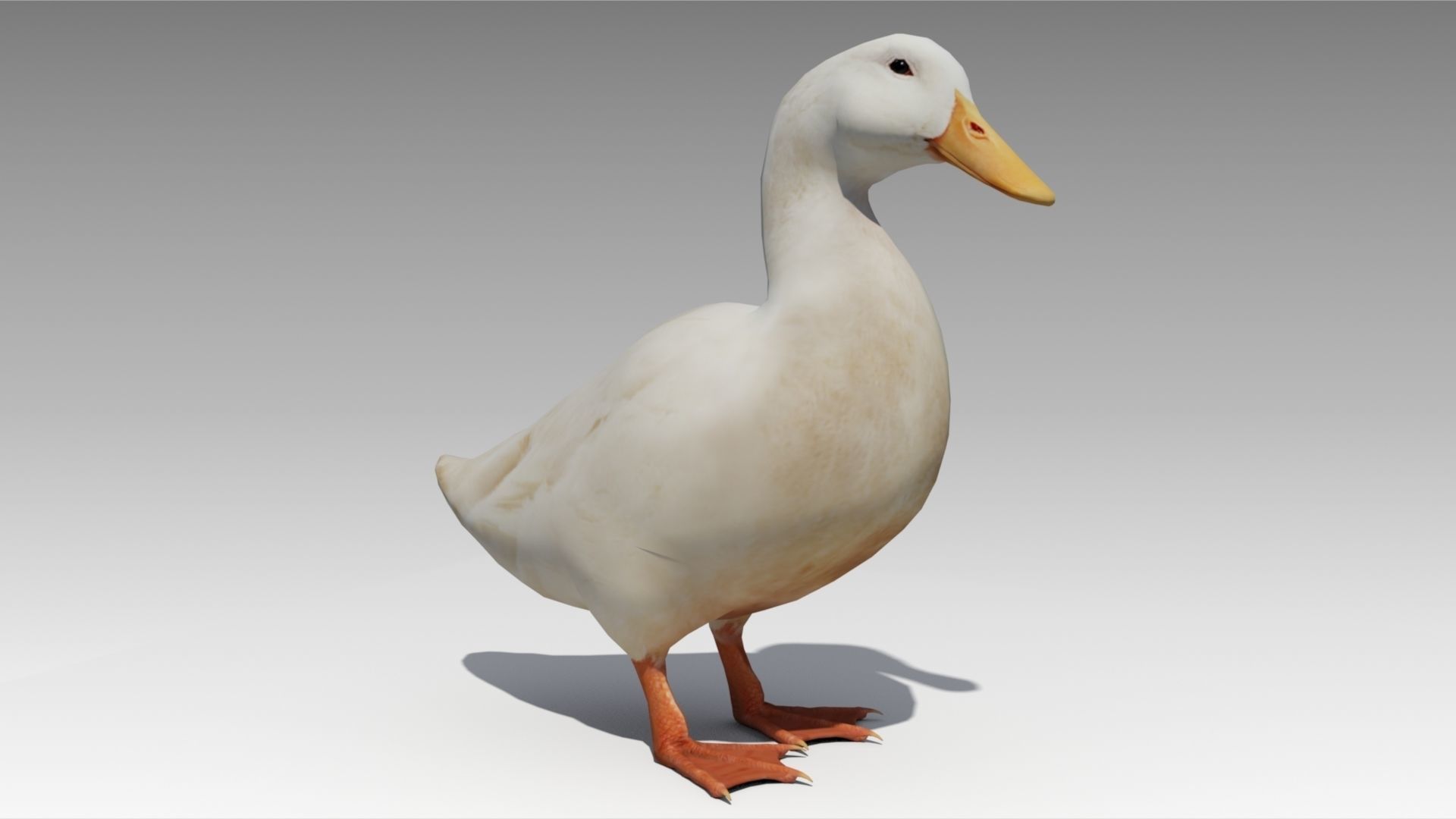 Duck Animated Low-poly 3D model_5