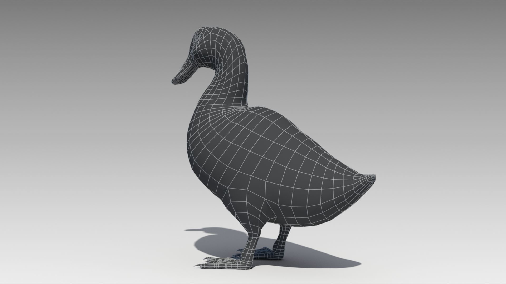 Duck Animated Low-poly 3D model_10