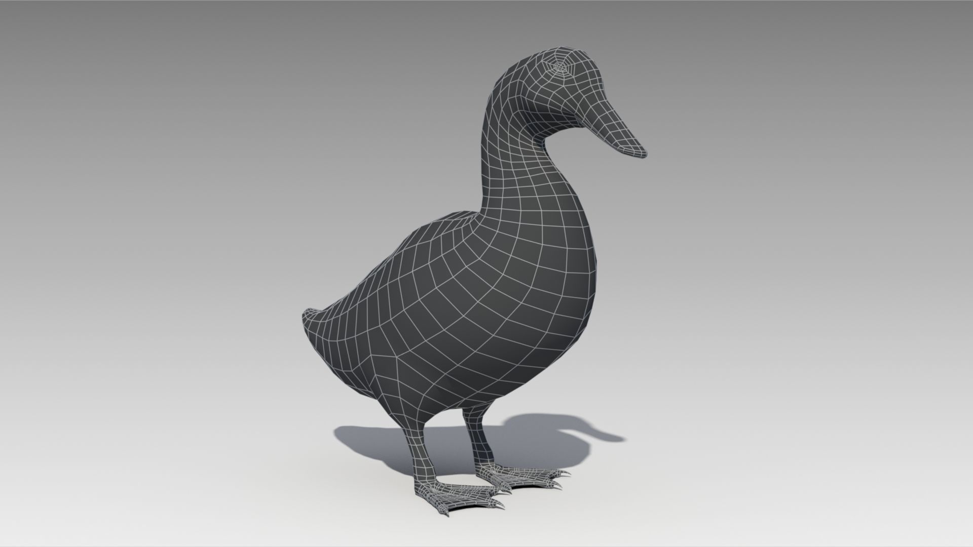 Duck Animated Low-poly 3D model_9