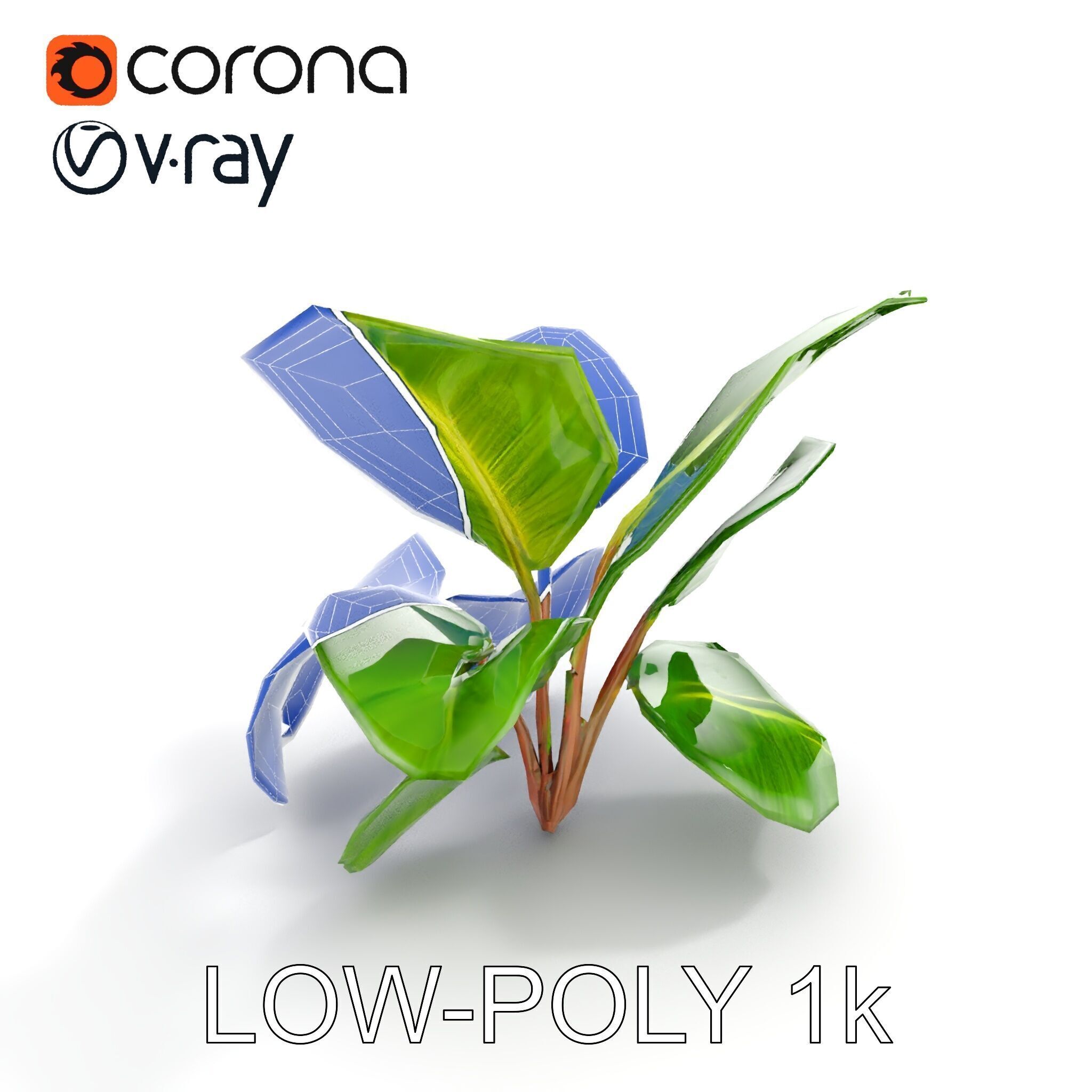 Tropical Plant Model Pack for Environment Design Low-poly 3D model_19