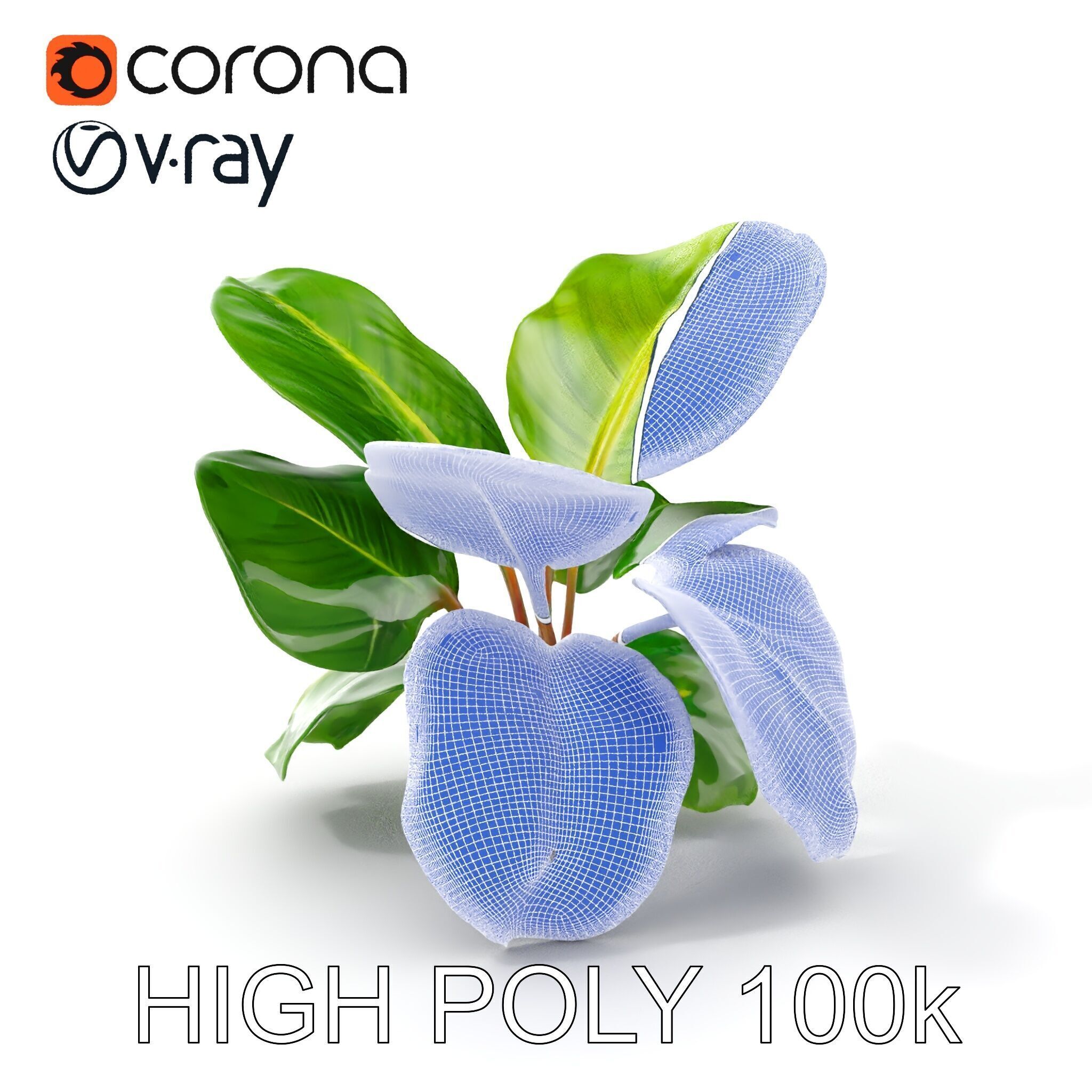 Tropical Plant Model Pack for Environment Design Low-poly 3D model_5