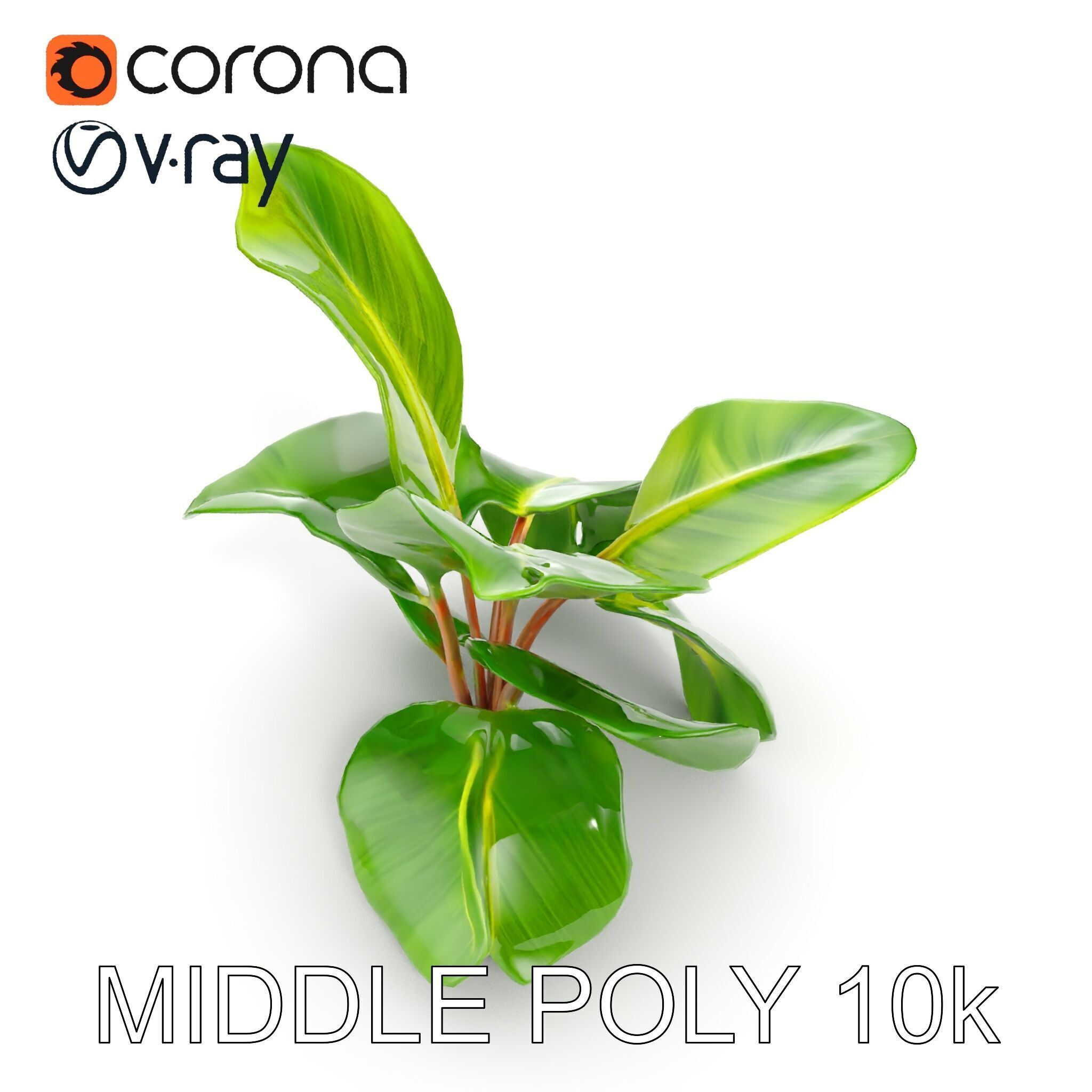 Tropical Plant Model Pack for Environment Design Low-poly 3D model_20