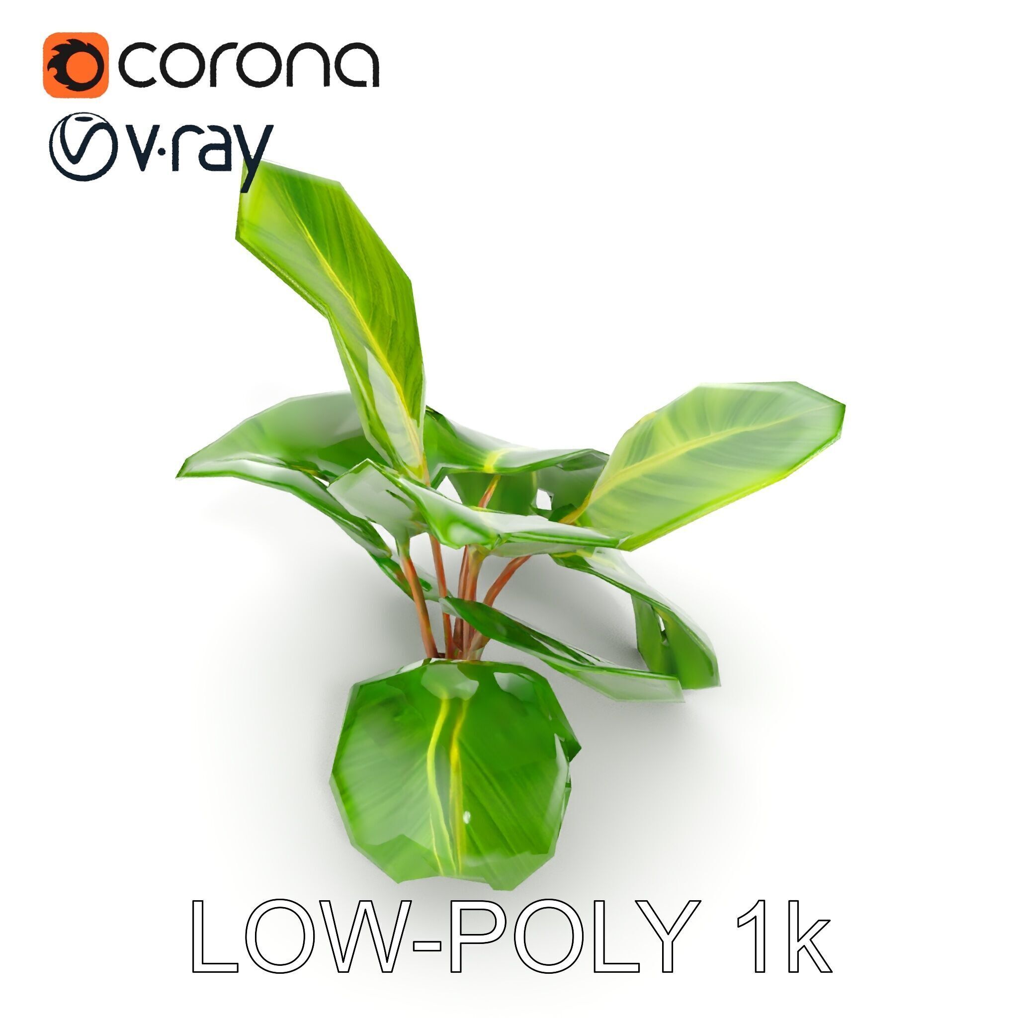 Tropical Plant Model Pack for Environment Design Low-poly 3D model_8