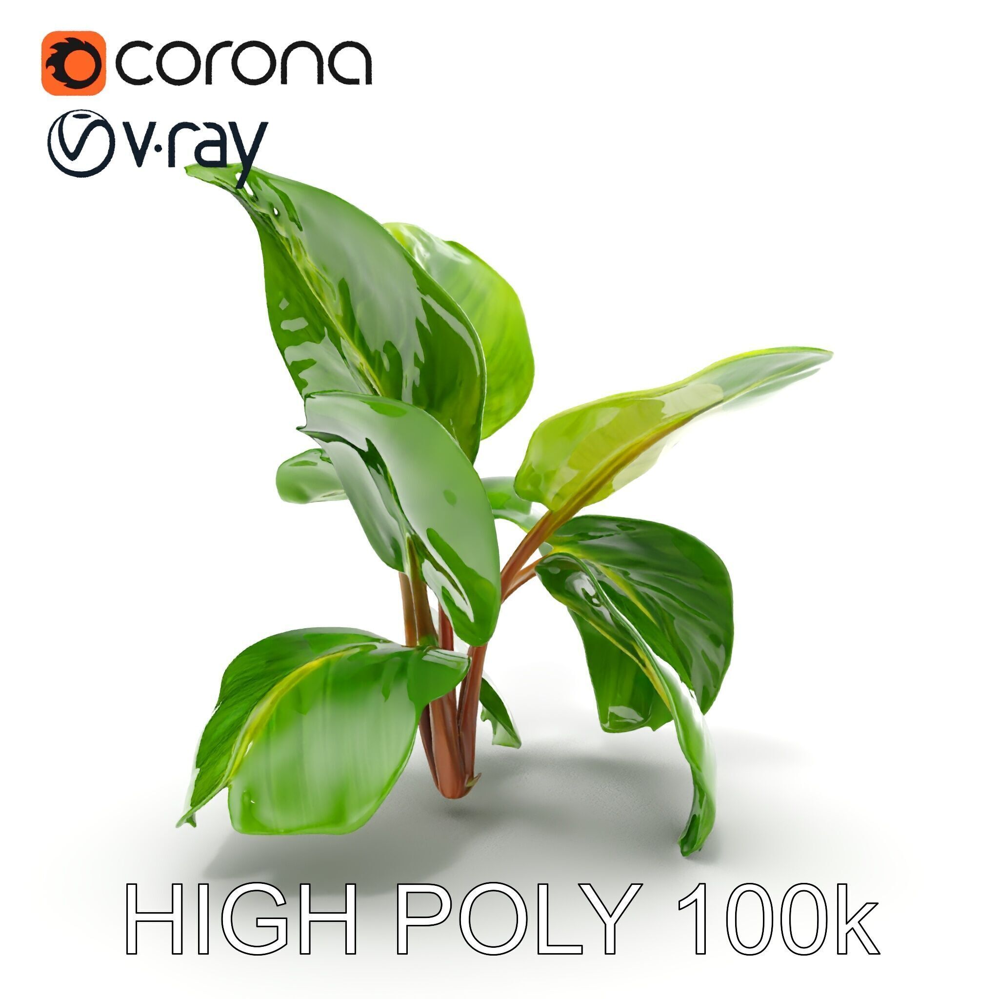 Tropical Plant Model Pack for Environment Design Low-poly 3D model_27