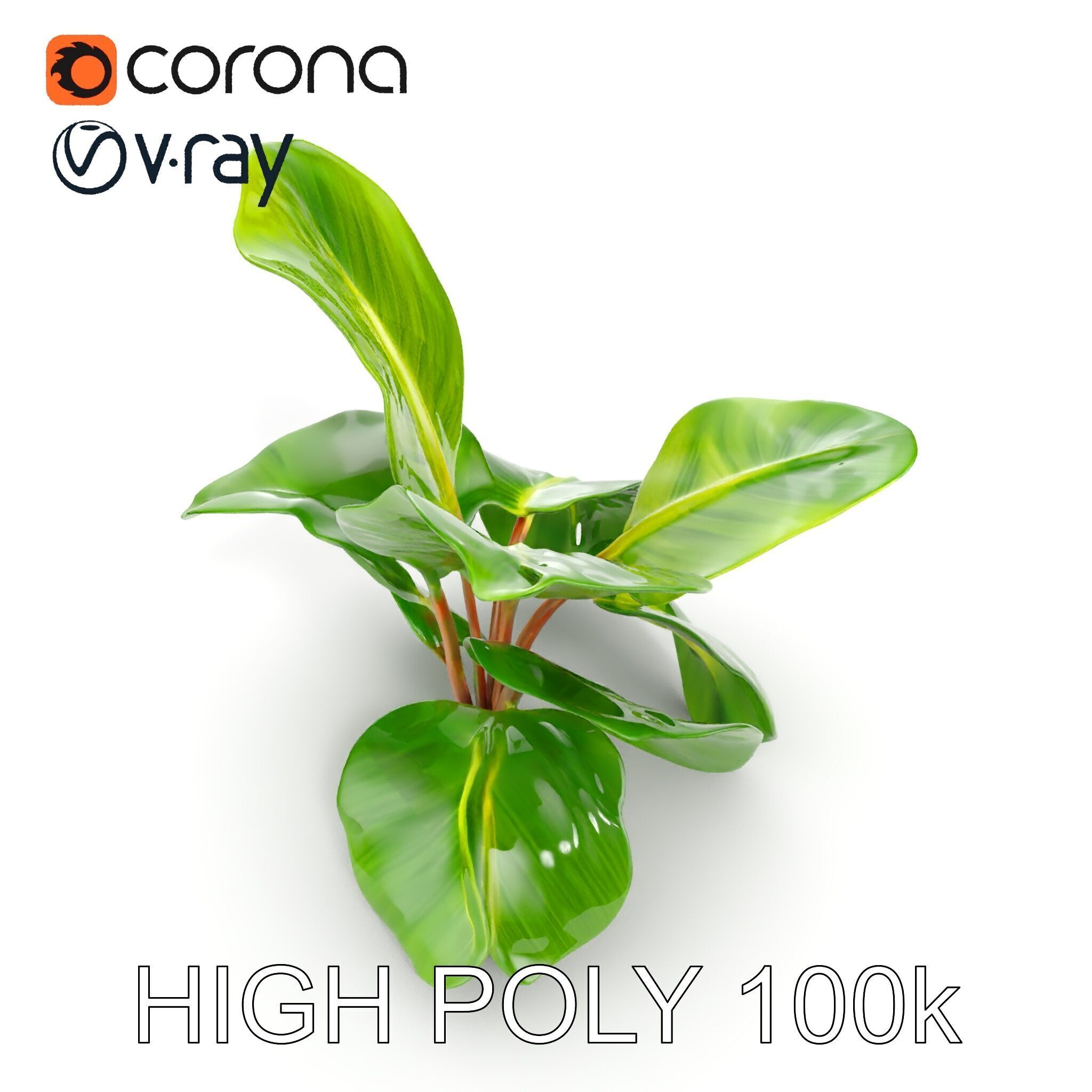 Tropical Plant Model Pack for Environment Design Low-poly 3D model_11