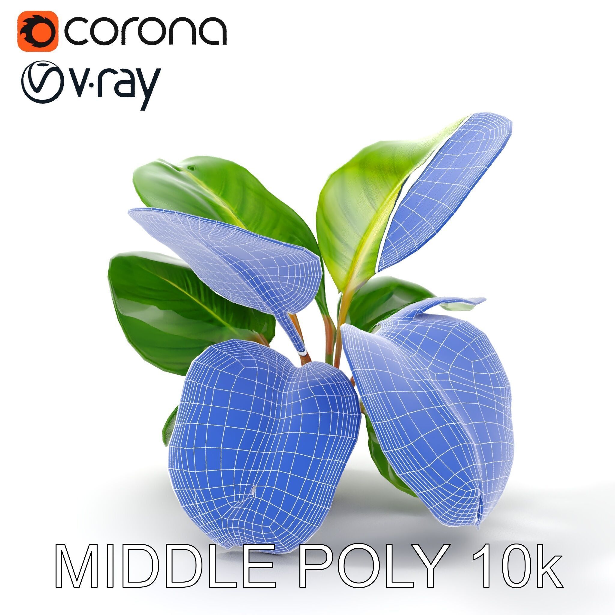 Tropical Plant Model Pack for Environment Design Low-poly 3D model_28