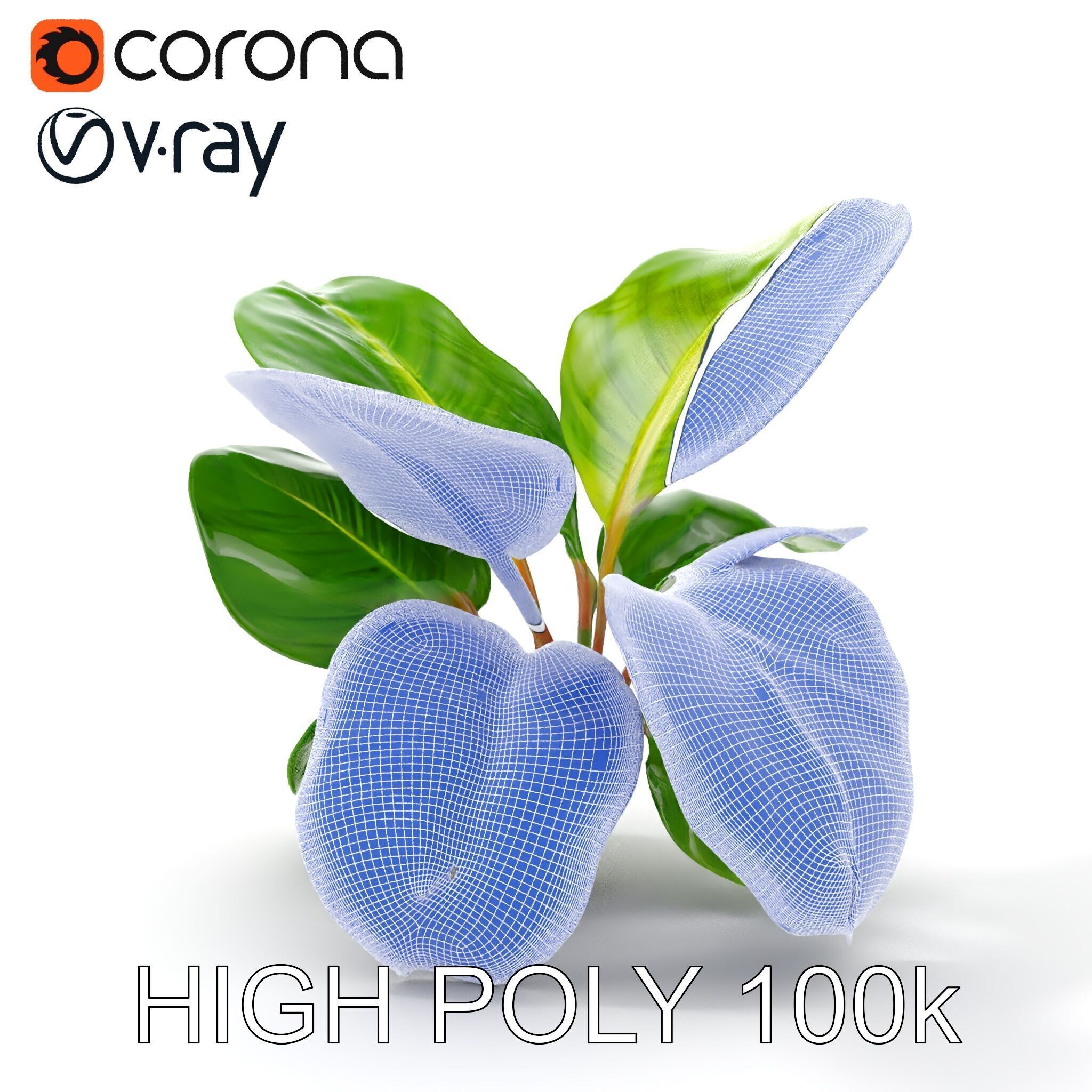 Tropical Plant Model Pack for Environment Design Low-poly 3D model_14