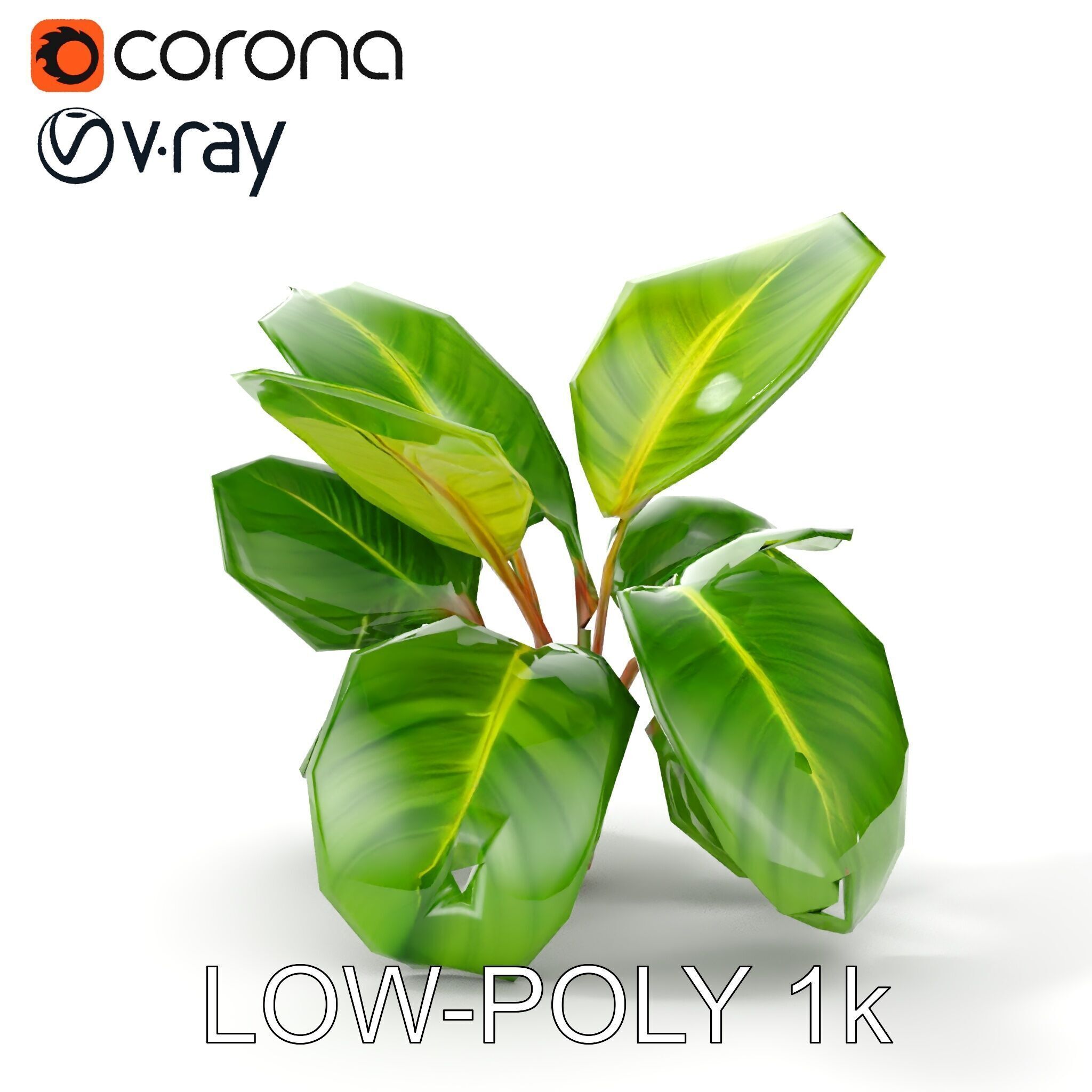 Tropical Plant Model Pack for Environment Design Low-poly 3D model_32