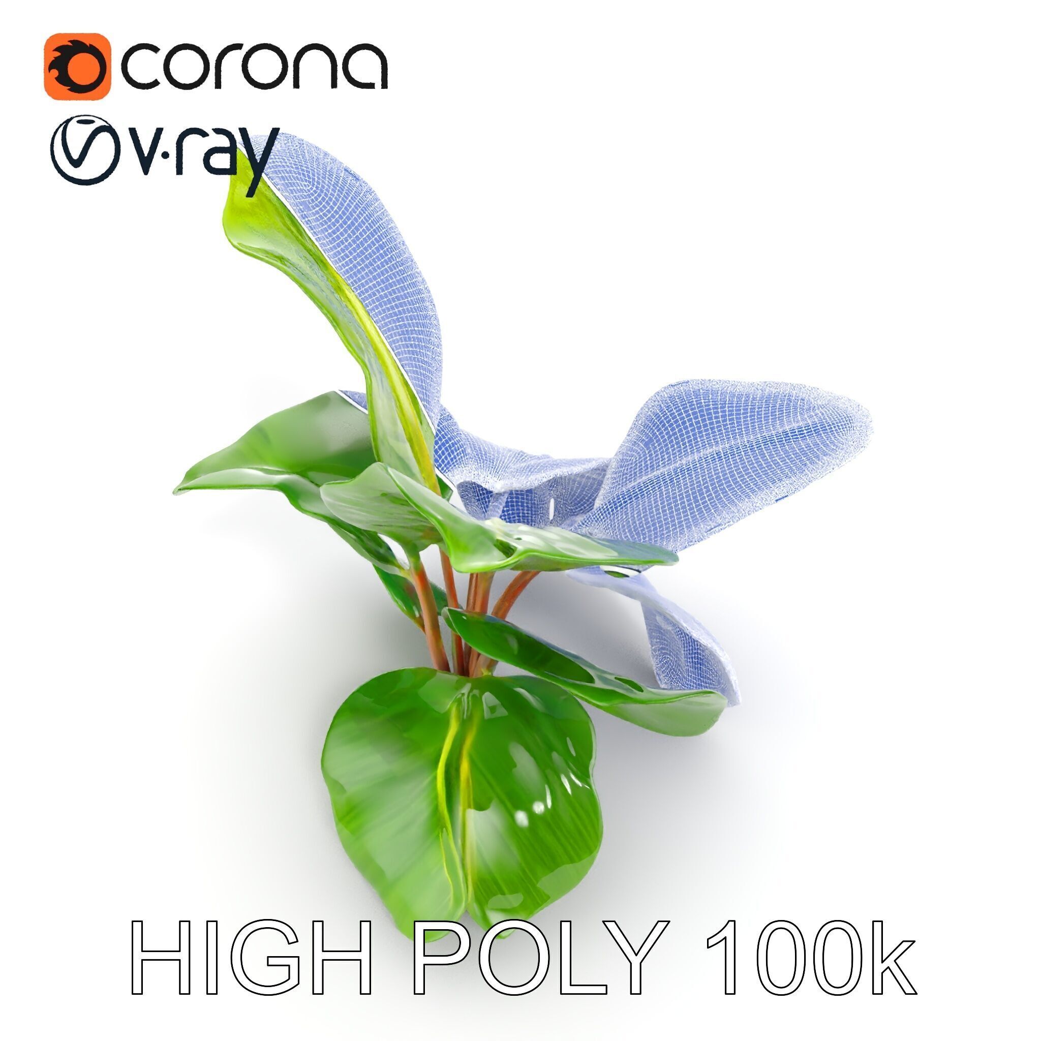 Tropical Plant Model Pack for Environment Design Low-poly 3D model_36