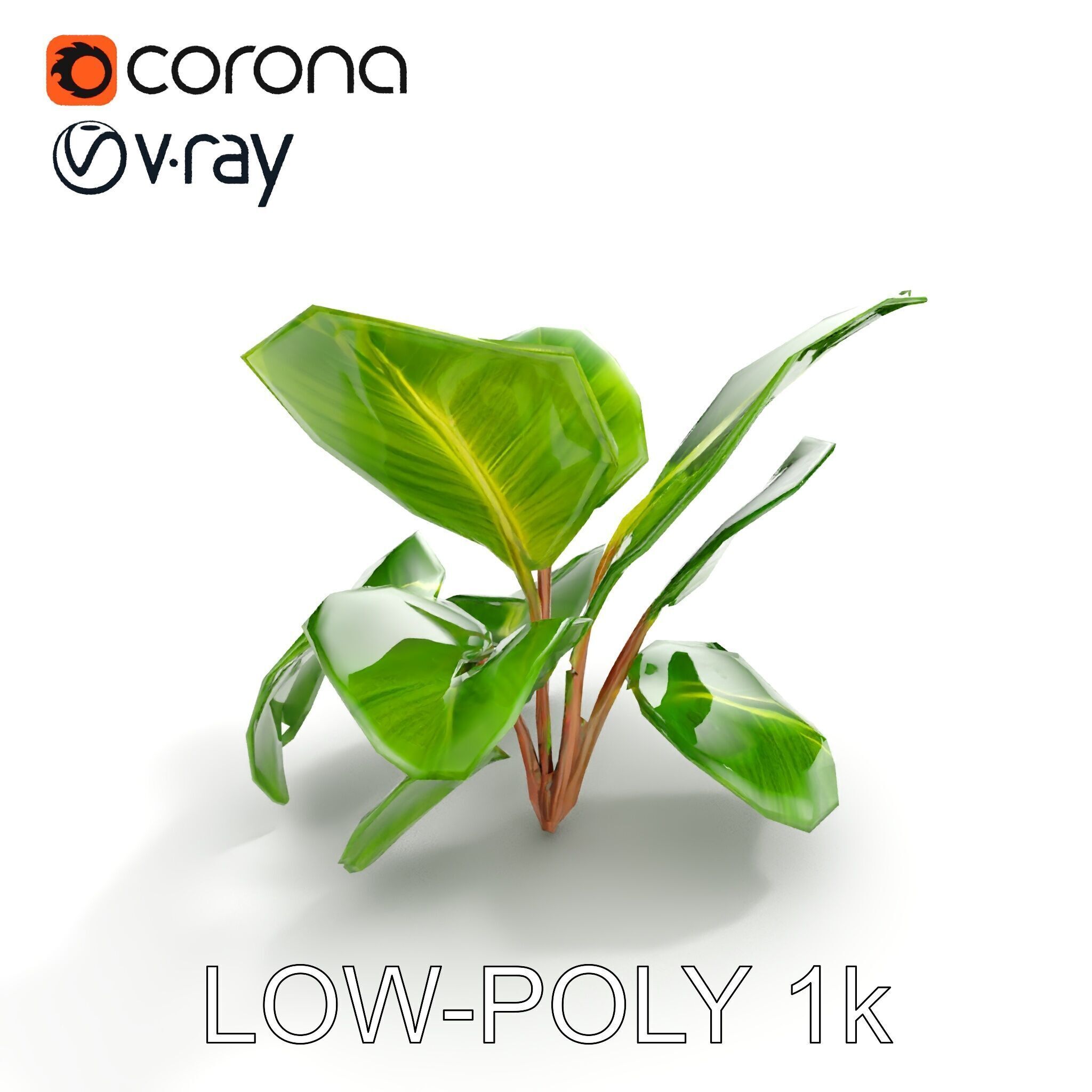 Tropical Plant Model Pack for Environment Design Low-poly 3D model_13