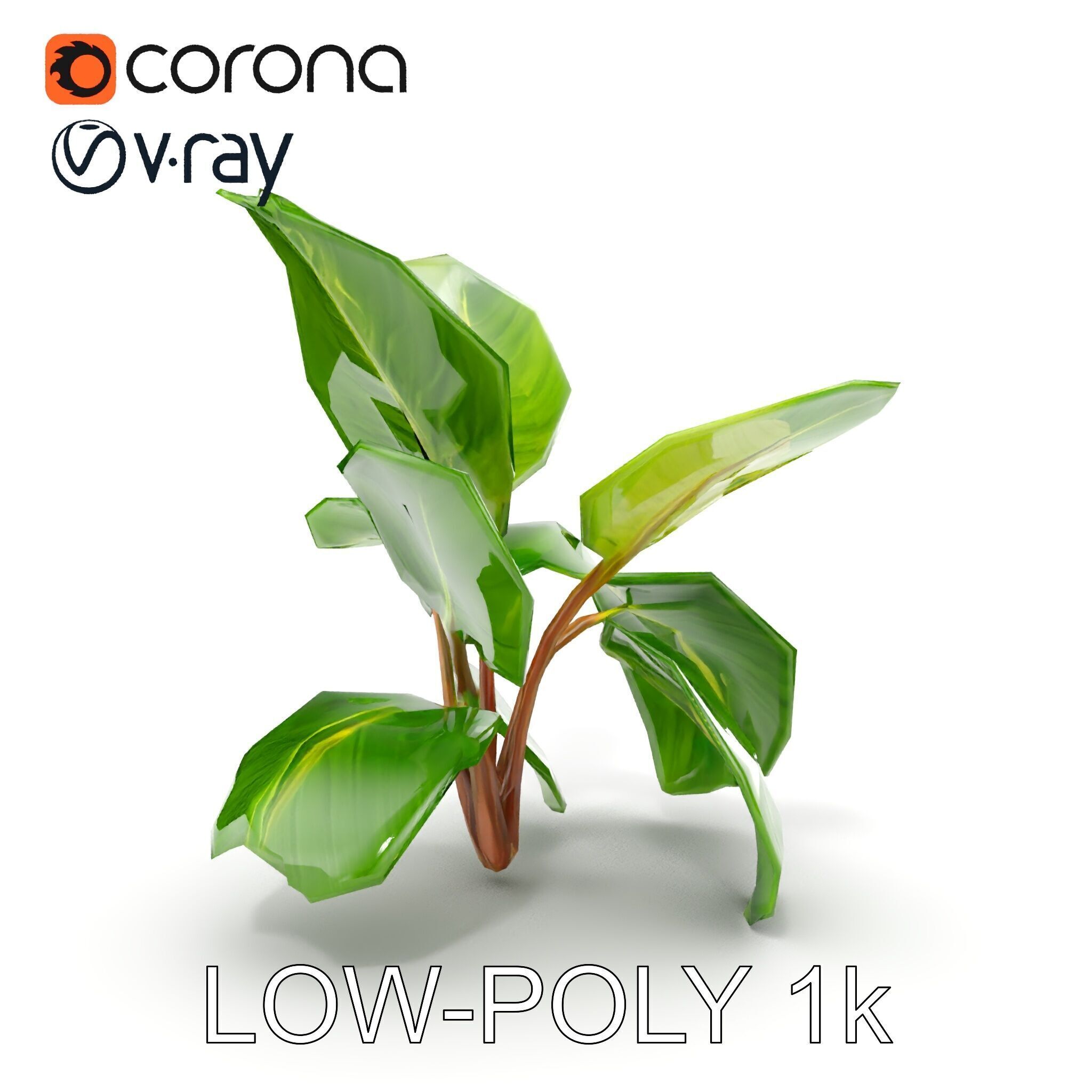 Tropical Plant Model Pack for Environment Design Low-poly 3D model_29