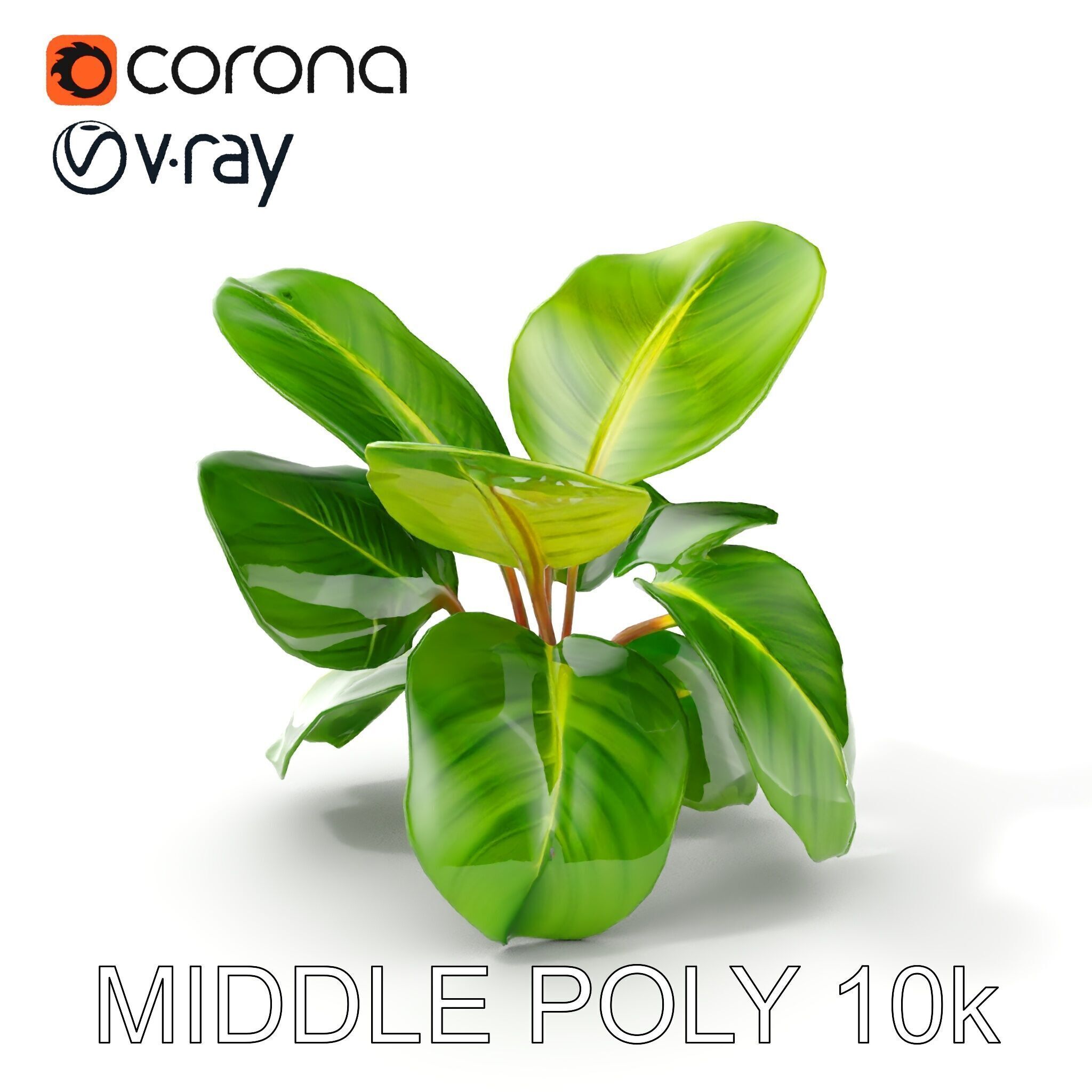 Tropical Plant Model Pack for Environment Design Low-poly 3D model_25