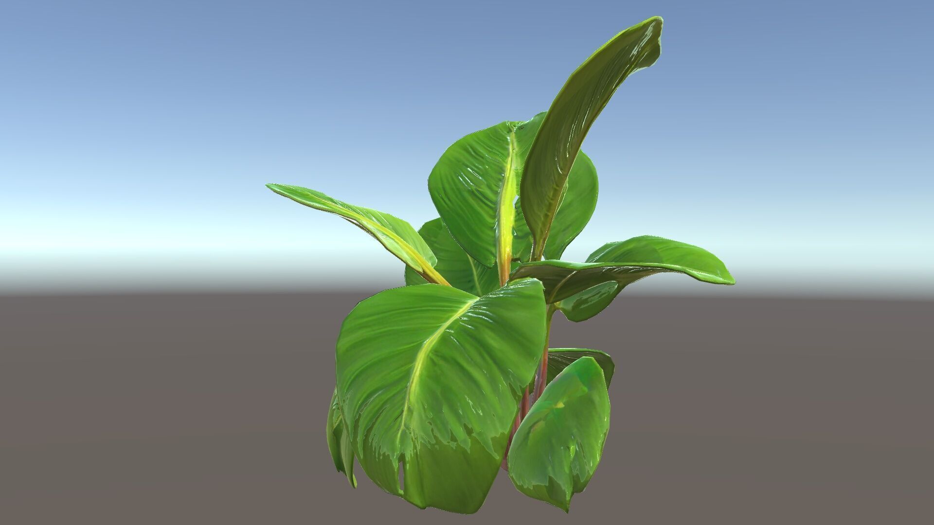 Tropical Plant Model Pack for Environment Design Low-poly 3D model_15