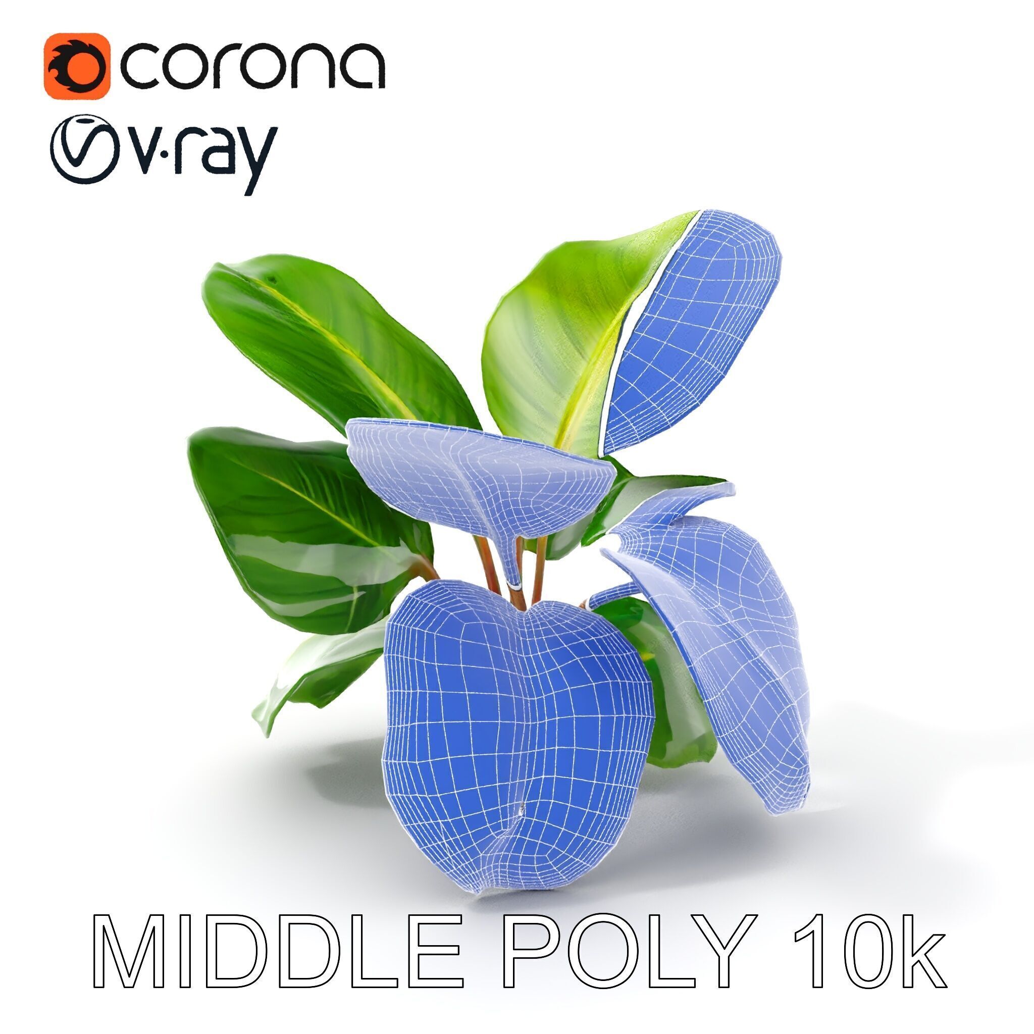 Tropical Plant Model Pack for Environment Design Low-poly 3D model_33