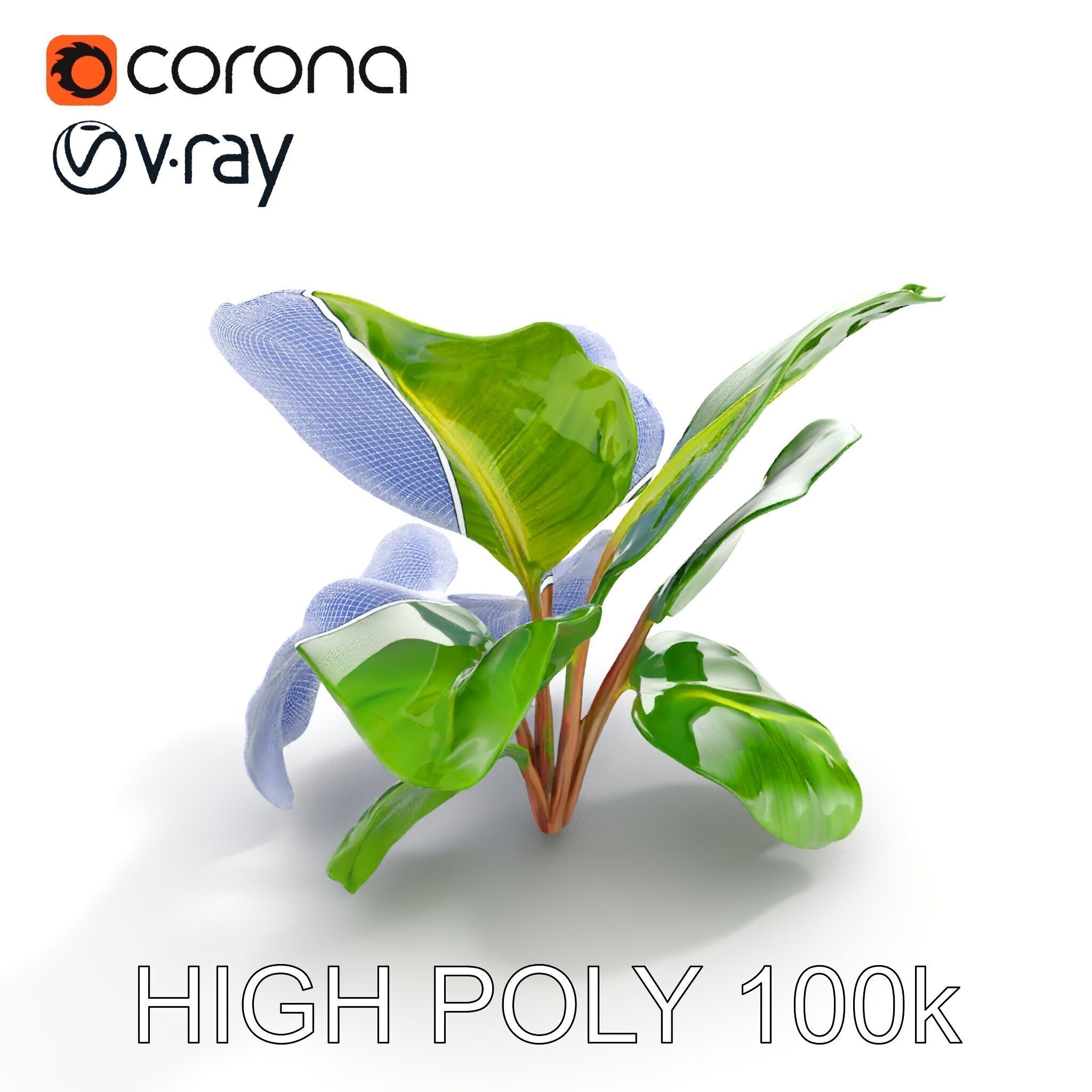 Tropical Plant Model Pack for Environment Design Low-poly 3D model_35