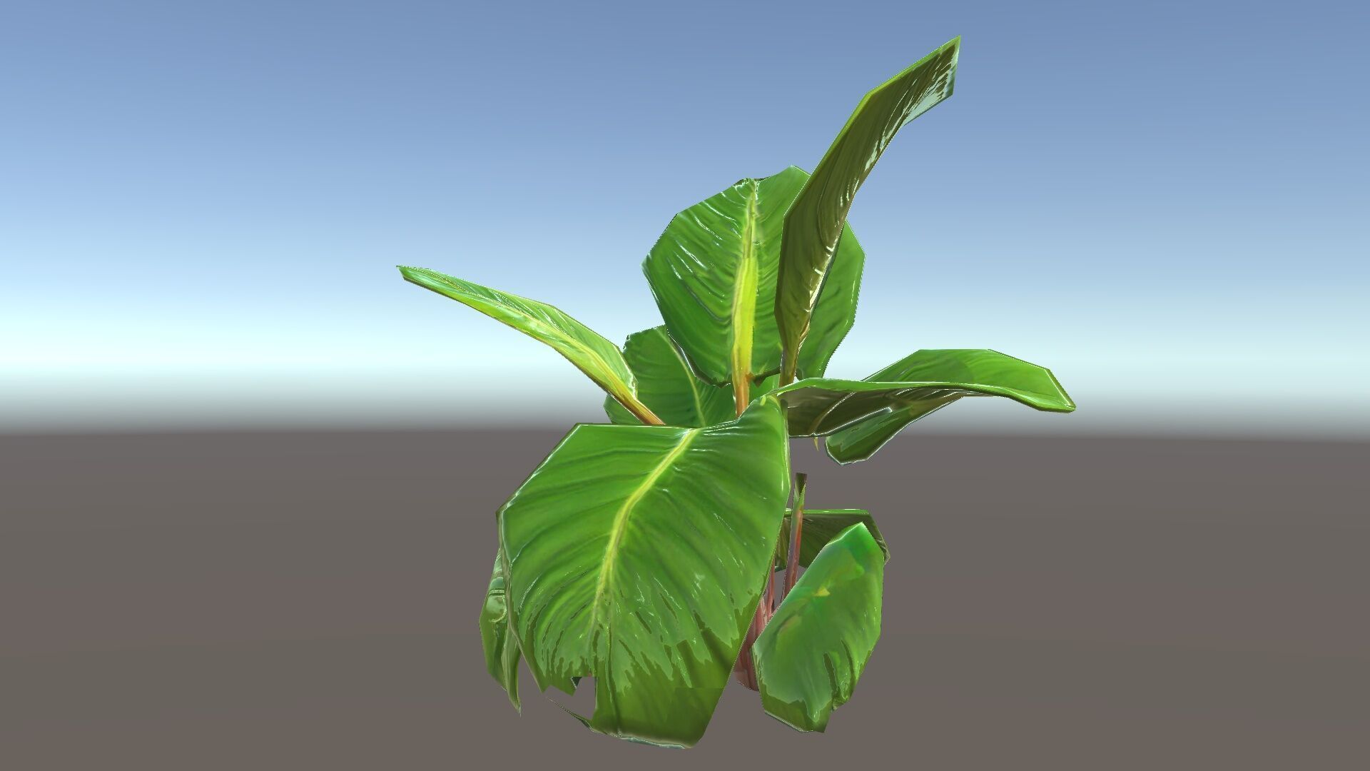 Tropical Plant Model Pack for Environment Design Low-poly 3D model_16