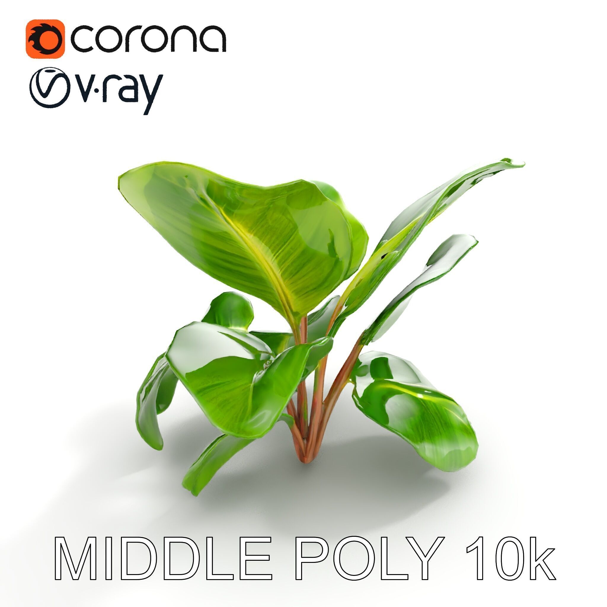 Tropical Plant Model Pack for Environment Design Low-poly 3D model_7