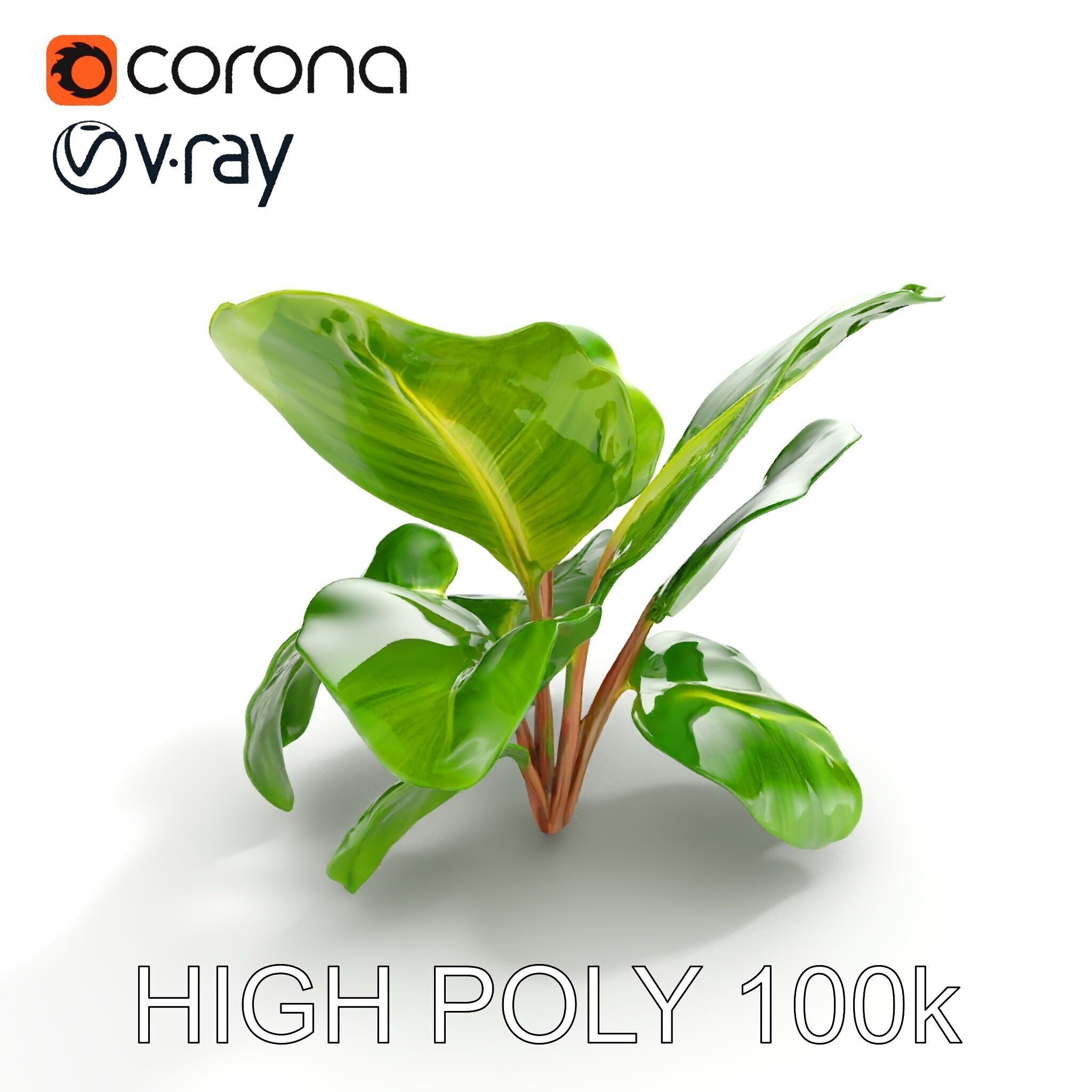 Tropical Plant Model Pack for Environment Design Low-poly 3D model_17