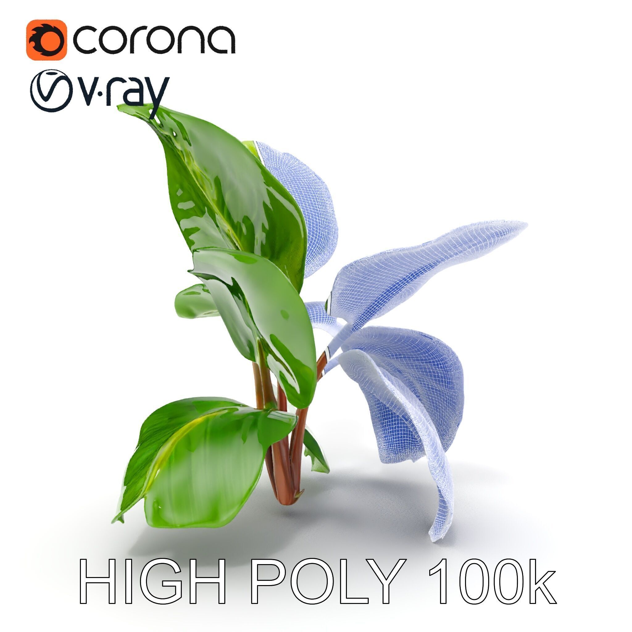 Tropical Plant Model Pack for Environment Design Low-poly 3D model_24