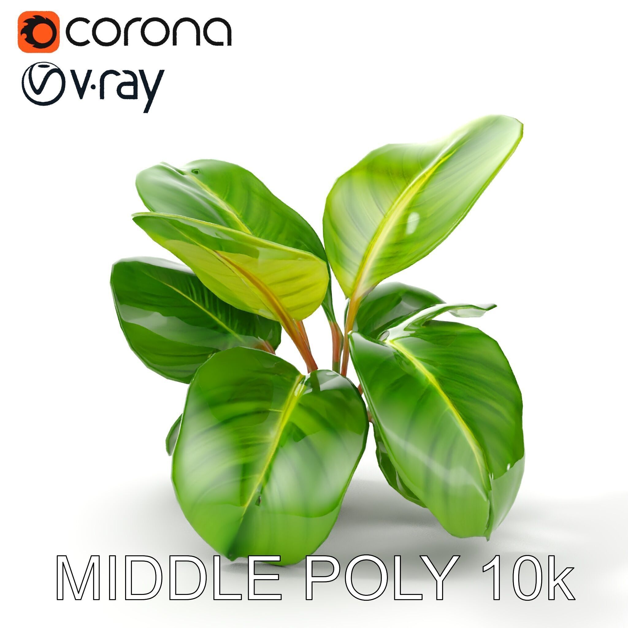 Tropical Plant Model Pack for Environment Design Low-poly 3D model_18
