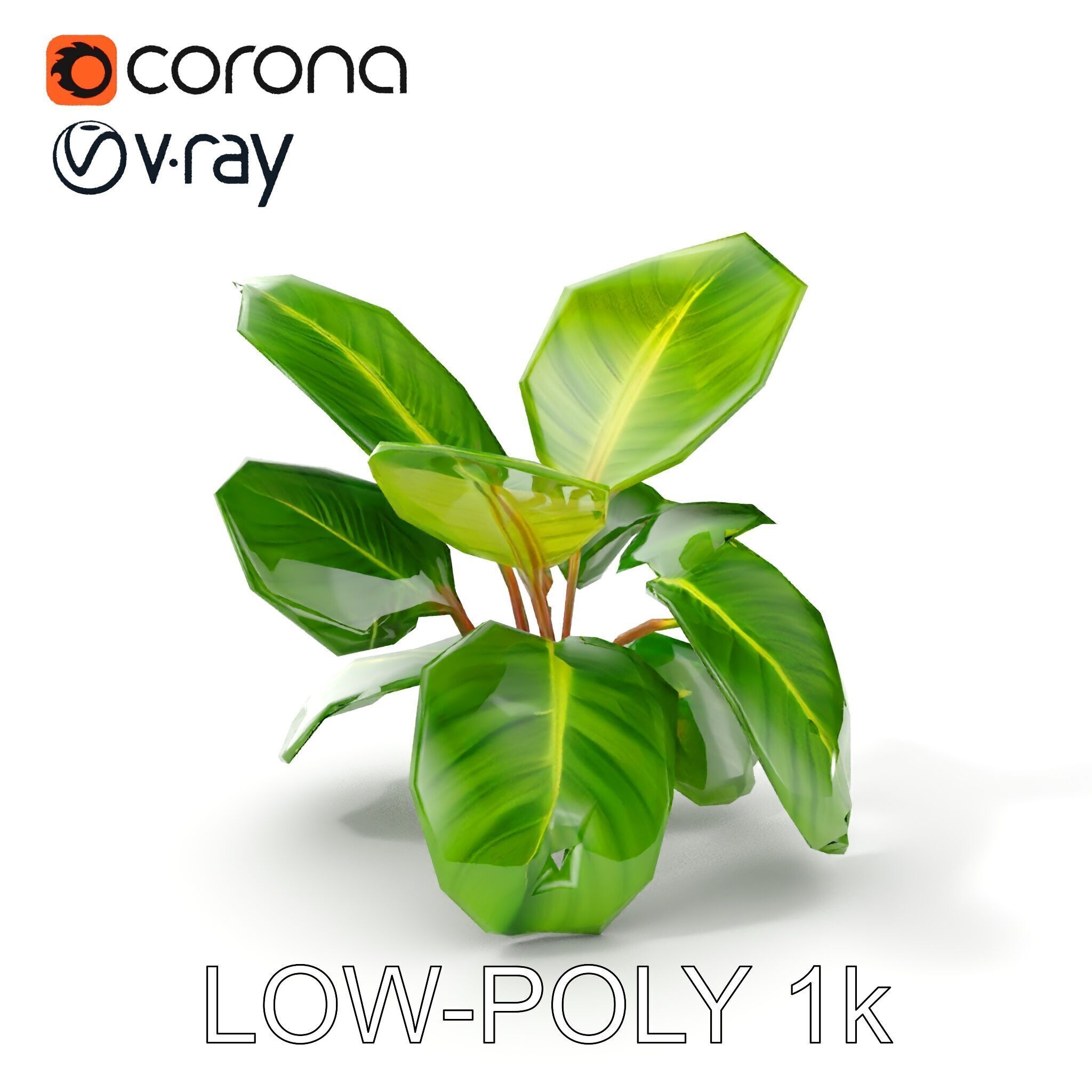 Tropical Plant Model Pack for Environment Design Low-poly 3D model_26